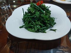 爽口丝瓜尖-烤肉季饭庄