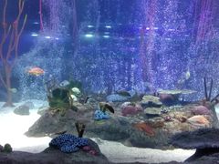 -沈阳海洋探索中心