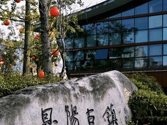 -恩阳古镇