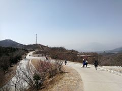 -鬼笑石后山停车场