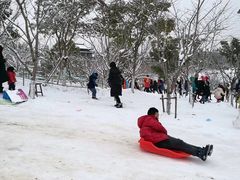 -镇江市南山风景名胜区竹林景区