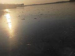 -丁香湖公园
