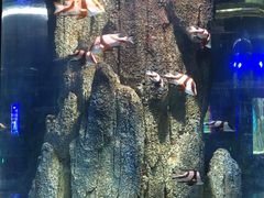 -福州罗源湾海洋世界旅游区