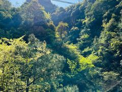 -天台山琼台仙谷景区