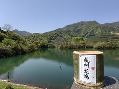 -龙坞茶村