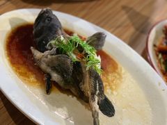 老虎斑-海盗餐厅