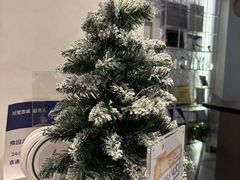 -齐玉齿科JADENTAL