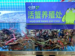 -徐记小怪兽肉蟹煲店(哈西万达金街店)