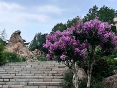 -泰山风景名胜区-虎山公园
