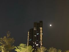 -大渔铁板烧(蛇口店)