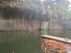 -千岛湖东南湖区