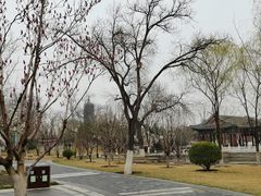 -西海子公园