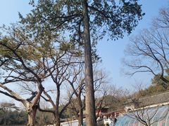 -红螺寺