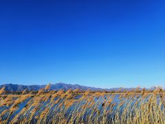 -野鸭湖国家湿地公园
