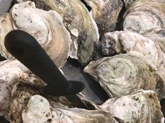 生蚝88蚊一哒-蚝专家(北滘店)