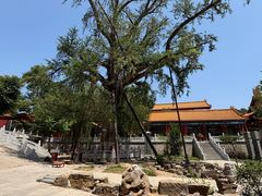 -青檀寺景区