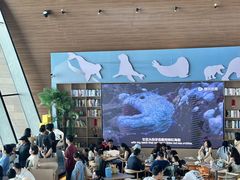 -抱抱地球咖啡馆(国家海洋博物馆店)