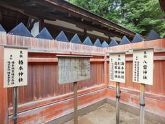 -奈良公园