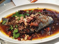 -杨氏青龙虾·羊蝎子(金盛路总店)