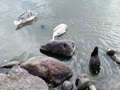-上海野生动物园