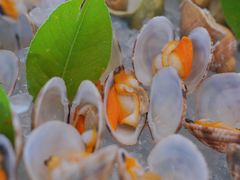 -上海和平饭店-华懋阁 The Cathay Room