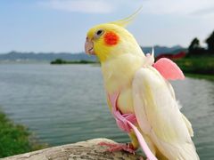 -东钱湖旅游度假区