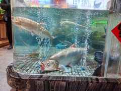 -传统菜农庄(皇姑路店)