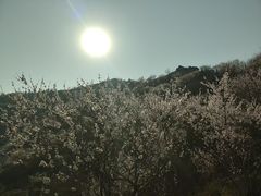 -妙峰山风景名胜区