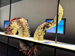-上海虹桥中心爱琴海亚朵S酒店