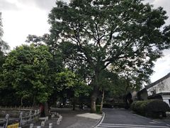 -桂林独秀峰王城景区