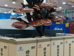 -上海市第一医药商店(南京东路店)