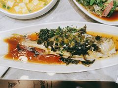 -老绍兴养和饭店(向阳不夜城店)