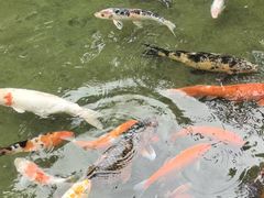 -广州花园酒店