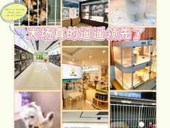 -翊宠yipet猫狗购宠庄园犬舍•猫舍