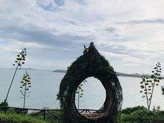 -漳州滨海火山岛自然生态风景区