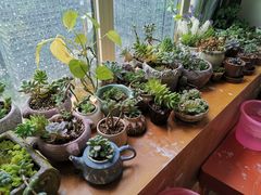-木子陶艺(春熙路店)