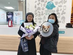 -谐和贝康宠物医院24小时·宠保定点(急重症转诊中心)