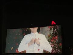 -枫花园汽车电影院(朝阳公园店)