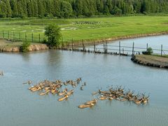 -溱湖国家湿地公园