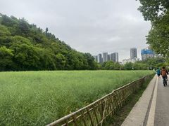 -贵阳市花溪国家城市湿地公园