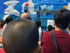 -左海海底世界