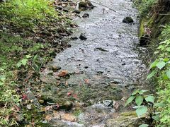 -黄公望隐居地
