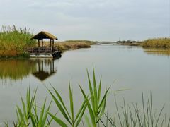 -宁波杭州湾国家湿地公园