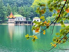 -庐山恋影院(河西路店)