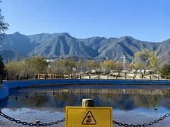 -白水寺森林公园
