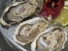 -Oyster Talks 四度蚝法餐厅