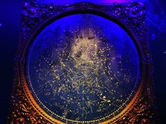 -贝林大翅鲸简餐厅(国家海洋博物馆店)