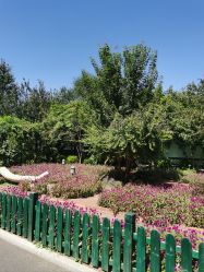 点击看大图 -爱儿美儿童摄影(五路居花园别墅店)