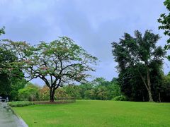 -中国科学院西双版纳热带植物园