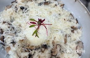 Black Truffle Wild Mushroom Risotto